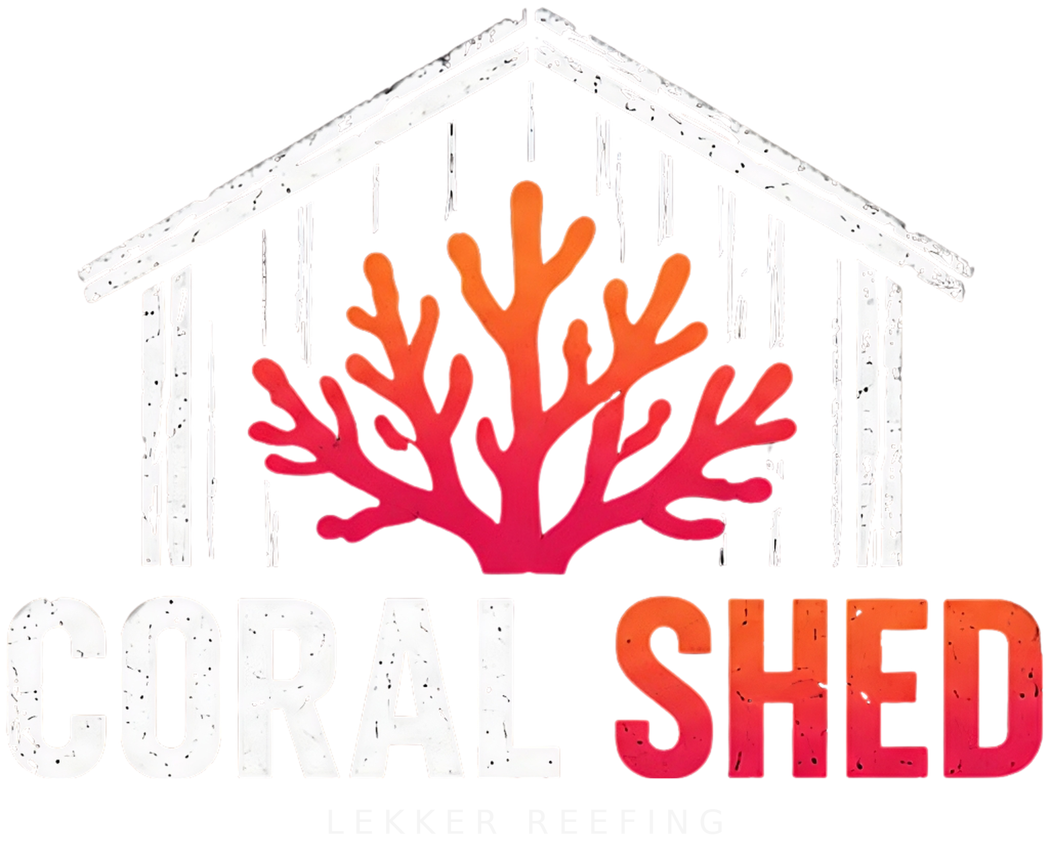 Coral Shed — Corals, Aquarium, Reef Life